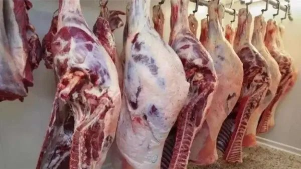 الوادي الجديد تعرض لحوم محلية بسعر 280 جنيها للكيلو