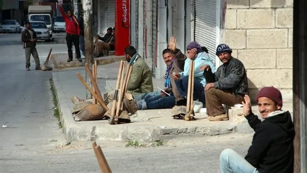 مساعدات عيد الأضحى للعمالة غير المنتظمة في محافظة الوادي الجديد
