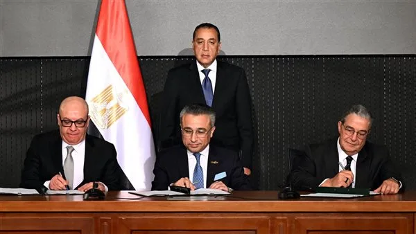 مشروع يعادل خمس محافظات: ما الذي يحدث في الصحراء؟