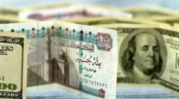 سعر الدولار مقابل الجنيه المصري في البنوك المصرية اليوم الثلاثاء 3 يونيو 2025