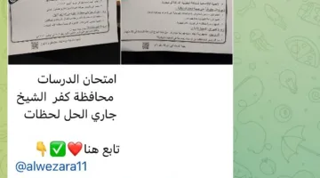تداول أسئلة امتحانات الشهادة الإعدادية على تيليجرام لليوم الرابع.. وشاومينج يعلن: العمل جارٍ على الحل.