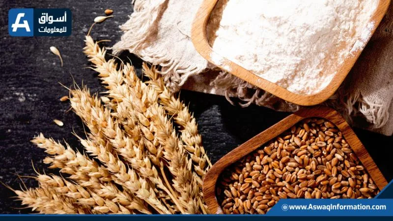 أسعار الدقيق اليوم الثلاثاء لدى التجار.. اكتشف سعر طن الردة
