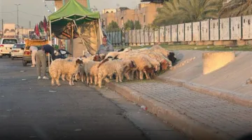 إجراءات صحية صارمة قبل عيد الأضحى في العراق