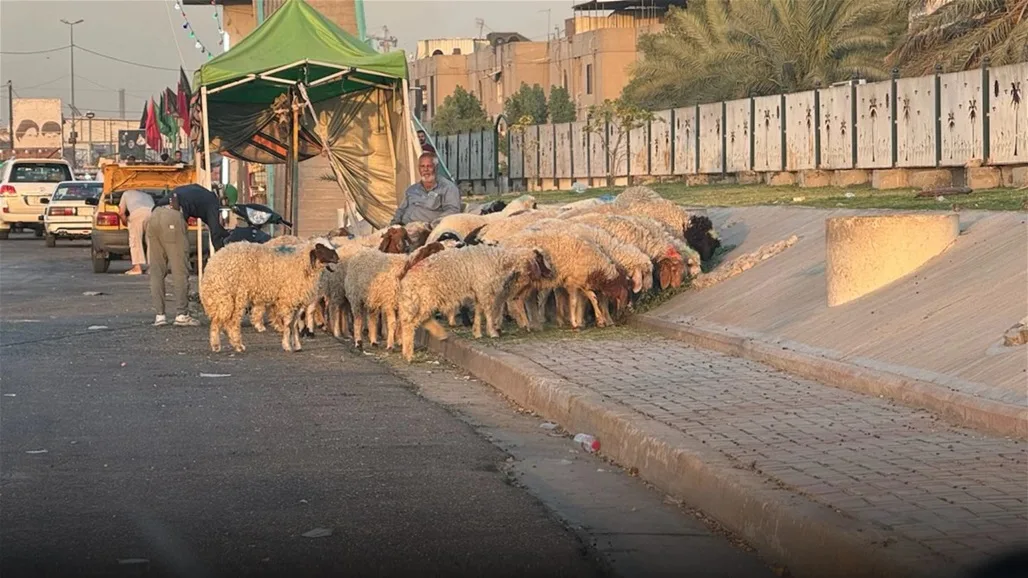إجراءات صحية صارمة قبل عيد الأضحى في العراق