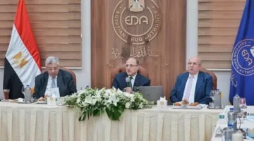 النظام الدوائي المصري في 2024: ازدهار ملحوظ في السوق المحلية واعتراف عالمي بالكفاءة التنظيمية.