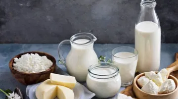 أسعار منتجات الألبان والجبن في بورسعيد اليوم