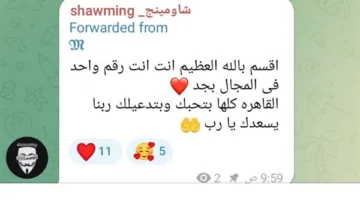 الطلاب من داخل اللجان: “شاومينج، القاهرة بأكملها تساندك وتدعو لك”