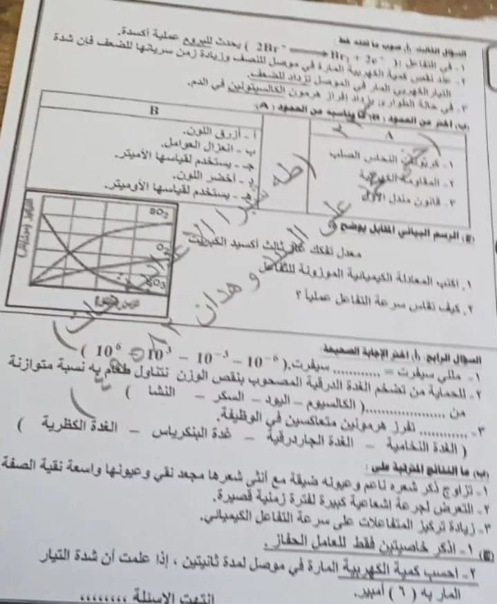 1000731258