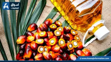زيادة العقود الآجلة لزيت النخيل الماليزي خلال تداولات اليوم