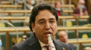 برلمانى: مكالمة السيسي وماكرون تظهر تزايد الدعم الدولى للمبادرات المصرية لإنهاء الصراع في غزة