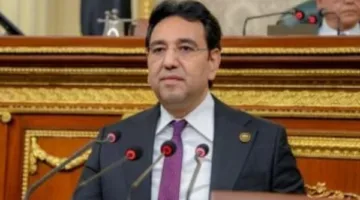 نائب: محادثات السيسي وماكرون تعكس تزايد الدعم الدولي للمبادرات المصرية