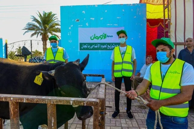 الأورمان تضع استراتيجية لتوزيع لحوم الأضاحي في 54 قرية بمحافظة بني سويف الأورمان تضع استراتيجية لتوزيع لحوم الأضاحي في 54 قرية بمحافظة بني سويف