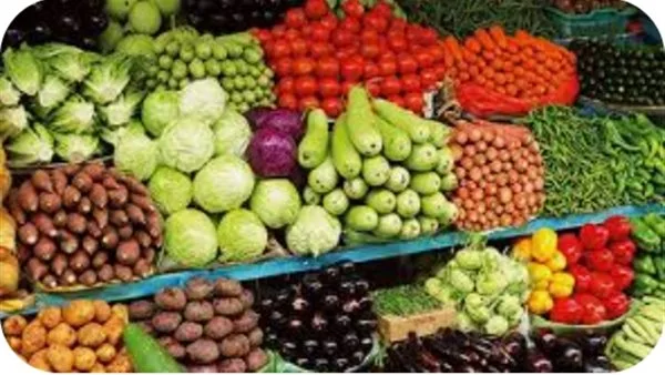 أسعار الفواكه والخضروات في الوادي الجديد اليوم الثلاثاء أسعار الفواكه والخضروات في الوادي الجديد اليوم الثلاثاء