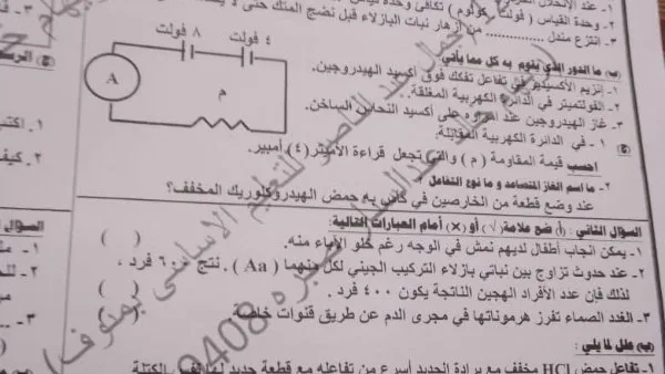 تداول أسئلة امتحان العلوم للشهادة الإعدادية في المنوفية.. الوزارة تتخذ إجراءات بحق المتورطين تداول أسئلة امتحان العلوم للشهادة الإعدادية في المنوفية.. الوزارة تتخذ إجراءات بحق المتورطين