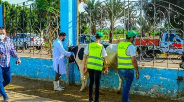 أورمان الشرقية تهدف إلى توزيع اللحوم على 41 قرية بمناسبة عيد الأضحى