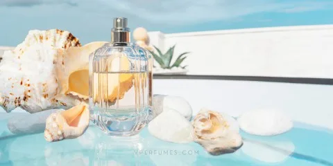 عطور صيفية تجسد اللحظات: دليل اختيار العطر المثالي لإطلالتك الصيفية عطور صيفية تجسد اللحظات: دليل اختيار العطر المثالي لإطلالتك الصيفية