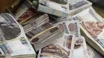 قبل عيد الأضحى.. وزارة الداخلية تضبط قضايا تهريب عملة بقيمة 8 ملايين جنيه في غضون 24 ساعة