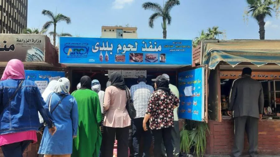 وزارة الزراعة تقدم لحوم عيد الأضحى بأسعار 270 جنيهاً لكل كيلو من اللحم البلدي و330 جنيهاً للحم الضأن. وزارة الزراعة تقدم لحوم عيد الأضحى بأسعار 270 جنيهاً لكل كيلو من اللحم البلدي و330 جنيهاً للحم الضأن.