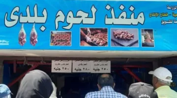 إزدحام المواطنين في مراكز “الزراعة” لاقتناء لحوم عيد الأضحى
