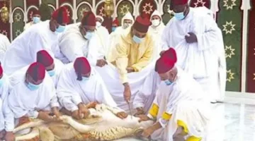ليس بالأمر الجديد.. دوافع إلغاء الملك المغربي لشعيرة الأضحية في عيد الأضحى