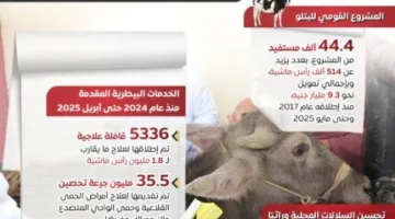مجلس الوزراء: تأمين الأضاحي واللحوم بأسعار ملائمة لتلبية احتياجات المواطنين – «إنفوجرافيك»