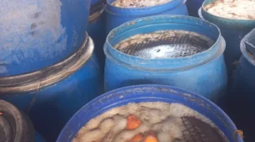 استعدادًا لعيد الأضحى.. وزارة البيئة تحقق في 130 منشأة في الشرقية