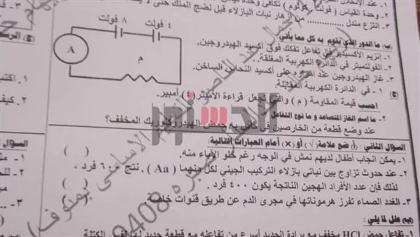 استجواب مراقب بشأن تسريب امتحان العلوم في المنوفية عبر “واتساب” استجواب مراقب بشأن تسريب امتحان العلوم في المنوفية عبر “واتساب”