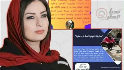 “إذا عضك كلب في الشارع، لاتفزع” .. محافظ الإسكندرية يتفاعل مع اقتراح النائبة آيات الحداد بتطعيم الكلاب الضالة ضد داء الكلب. “إذا عضك كلب في الشارع، لاتفزع” .. محافظ الإسكندرية يتفاعل مع اقتراح النائبة آيات الحداد بتطعيم الكلاب الضالة ضد داء الكلب.