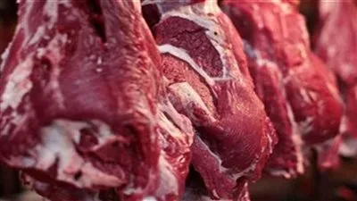 رئيس الوزراء يشرف على خطوات رفع كمية اللحوم الحمراء المتاحة في الأسواق. رئيس الوزراء يشرف على خطوات رفع كمية اللحوم الحمراء المتاحة في الأسواق.