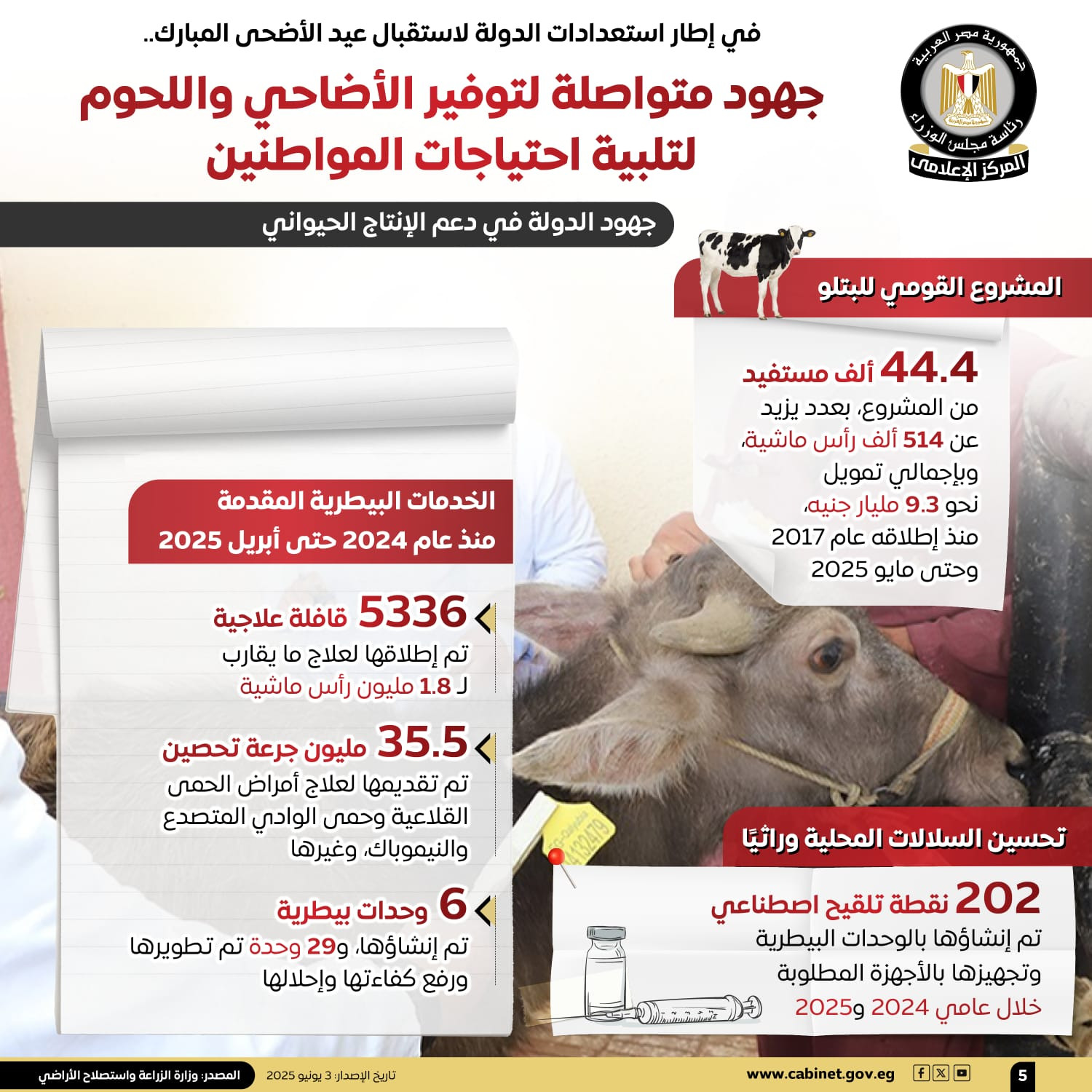 انفوجراف الأضاحي