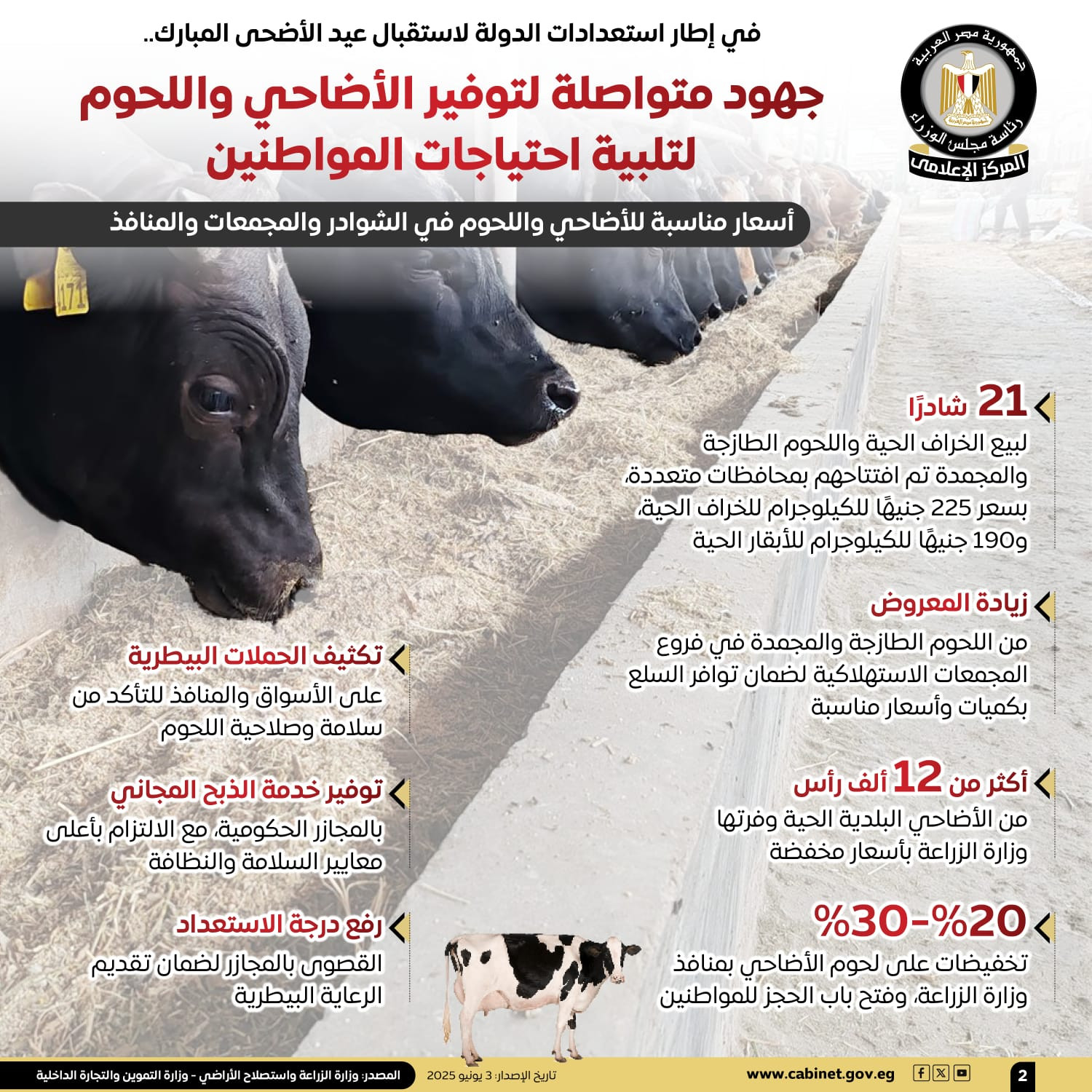 انفوجراف الأضاحي