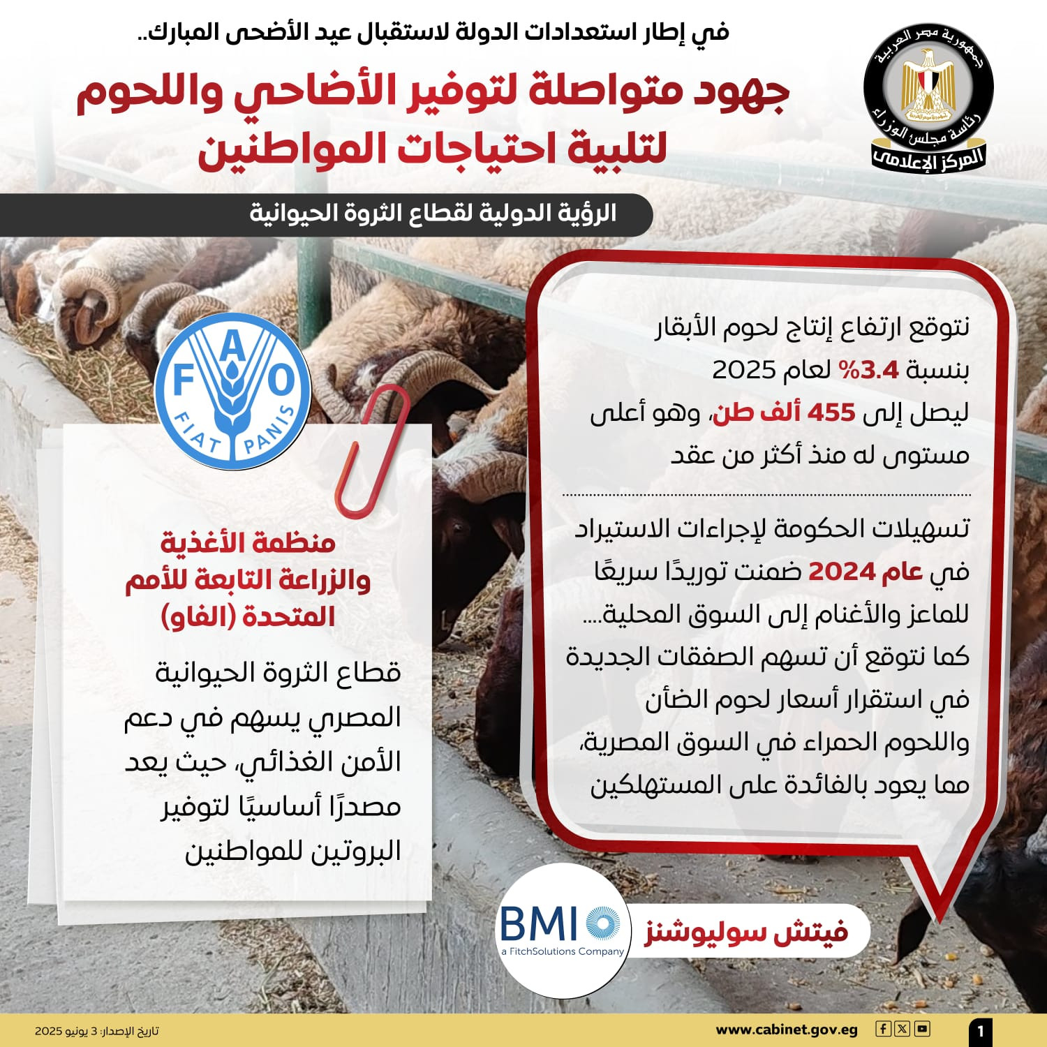 انفوجراف الأضاحي