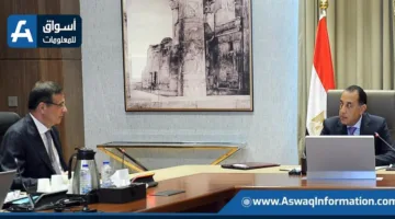وزير الزراعة: الطلب الوطني على اللحوم الحمراء يصل إلى مليون طن سنويًا