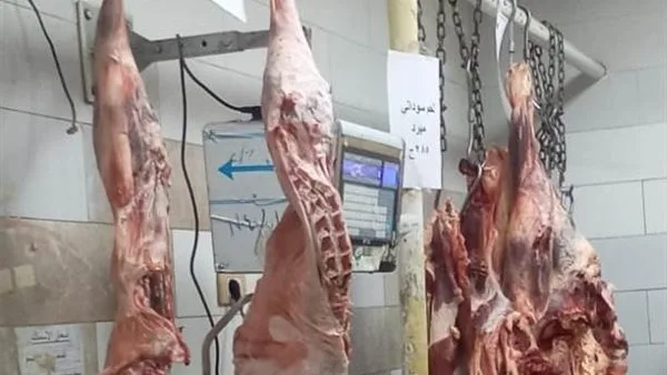 بمناسبة عيد الأضحى.. اكتشف مواقع معارض وشوادر بيع اللحوم بأسعار مخفضة في أسوان بمناسبة عيد الأضحى.. اكتشف مواقع معارض وشوادر بيع اللحوم بأسعار مخفضة في أسوان