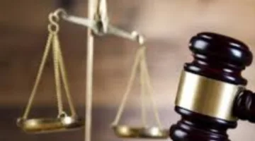 تفاصيل حكم المحكمة ببراءة سيدة أعمال وآخرين من تهمة الاعتداء على البلوجر عمرو الكاشف.