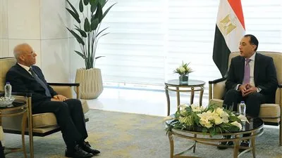 رئيس الوزراء يلتقي بالسفير العراقي في القاهرة لمناقشة القضايا المشتركة. رئيس الوزراء يلتقي بالسفير العراقي في القاهرة لمناقشة القضايا المشتركة.
