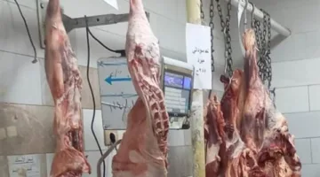أسعار اللحوم في متاجر أسوان