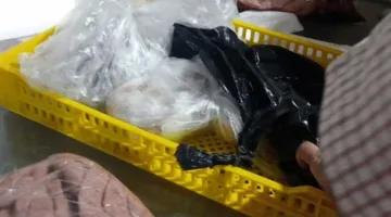 مع اقتراب عيد الأضحى.. نشاطات رقابية متزايدة في كفر الشيخ لمراقبة المخالفات
