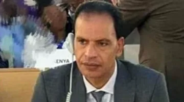 هشام رضوان: اقتصاد المنصات ساهم في خلق فرص عمل جديدة