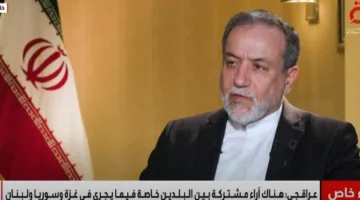 وزير خارجية إيران: نؤيد مساعي مصر وقطر لوقف القتال في غزة