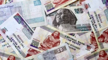 بنك مصر والبنك الأهلي يقدمان خدمات إصدار شهادات الادخار بمختلف الأنواع خلال عطلة عيد الأضحى.