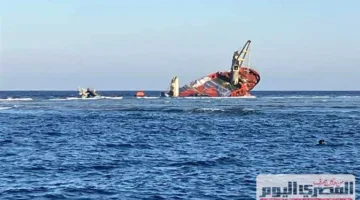 حكم قضائي حديث بشأن السفينة المحملة بالبضائع التي غرقت في البحر الأحمر