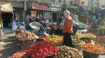 توقعات بارتفاع التضخم في مصر إلى 14.9% في مايو الفائت