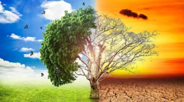 أستاذ في نظم علوم الأرض: التغيرات المناخية أدت إلى اضطراب في النظام البيئي للأرض.
