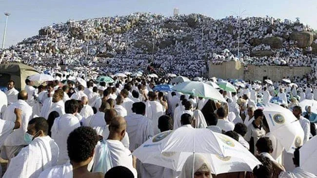 دليل أداء مناسك الحج: من الإحرام حتى رمي الجمرات دليل أداء مناسك الحج: من الإحرام حتى رمي الجمرات