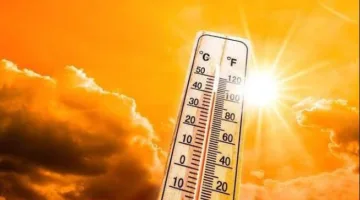 الأرصاد الجوية: طقس الغد سيكون حاراً خلال النهار ومعتدلاً ليلاً في معظم المناطق، مع تسجيل 33 درجة كحد أقصى في القاهرة.