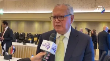 العرابي: يجب إعادة تقييم هيكلة الدور الاقتصادي للسفارات المصرية.
