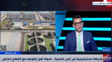 خبير قانوني: نشاط الأفراد في سوق الأسهم يعكس تحولًا في نظرتهم نحو الاستثمار