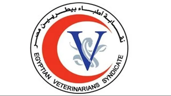 نقابة الأطباء البيطريين تتابع قضية الطبيب أحمد عماد وتؤكد: العيادة تمتلك ترخيصاً نقابة الأطباء البيطريين تتابع قضية الطبيب أحمد عماد وتؤكد: العيادة تمتلك ترخيصاً