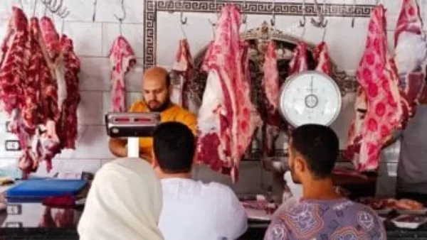وكيل تموين الإسكندرية يوجه بزيادة الحملات على سوق اللحوم وكيل تموين الإسكندرية يوجه بزيادة الحملات على سوق اللحوم
